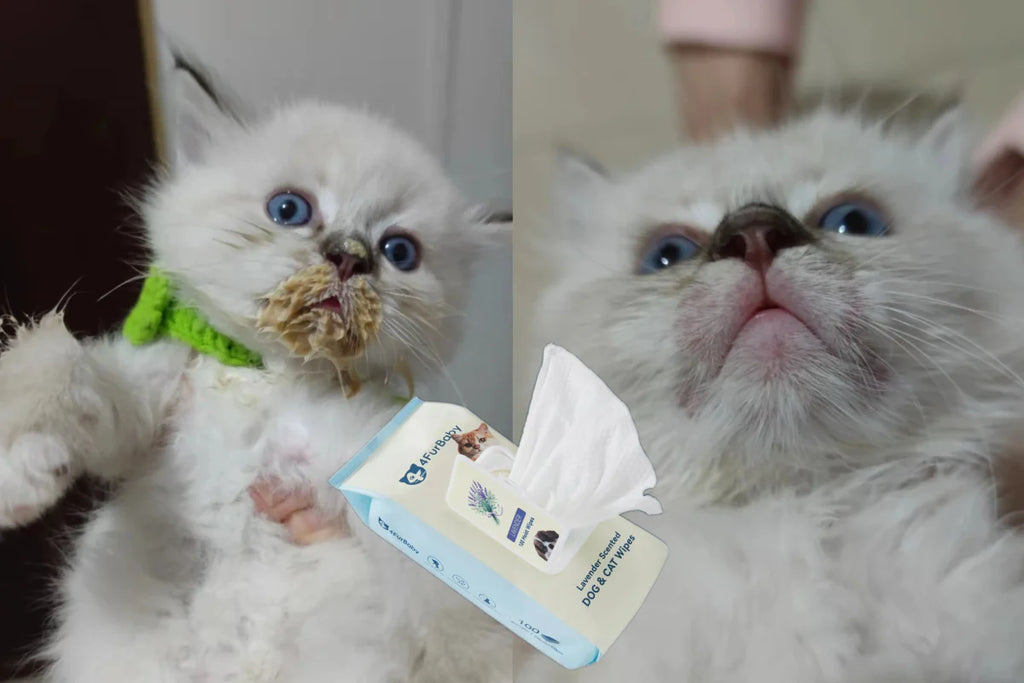 Plant-Based Dog & Cat Grooming Wipes  Hypoallergenic Pet Wipes  4FurBaby